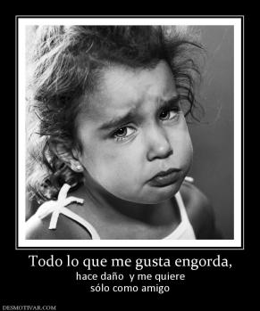 Todo lo que me gusta engorda, hace daño  y me quiere sólo como amigo