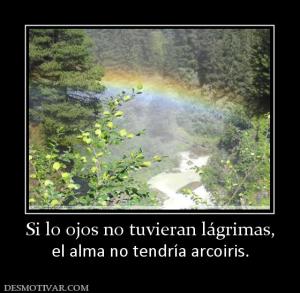 Si lo ojos no tuvieran lágrimas, el alma no tendría arcoiris.