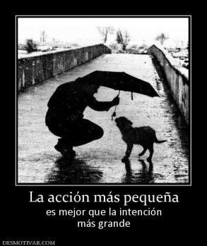 La acción más pequeña es mejor que la intención más grande