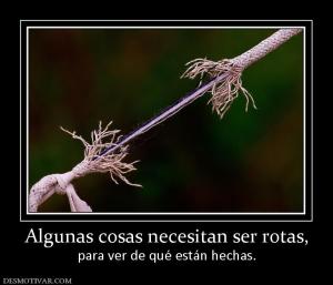 Algunas cosas necesitan ser rotas, para ver de qué están hechas.