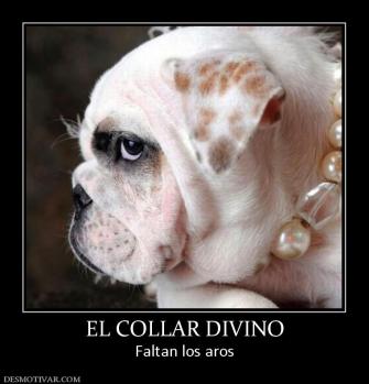 EL COLLAR DIVINO Faltan los aros