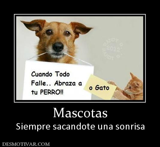 Mascotas Siempre sacandote una sonrisa
