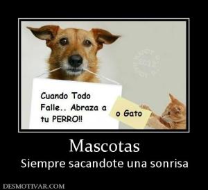 Mascotas Siempre sacandote una sonrisa