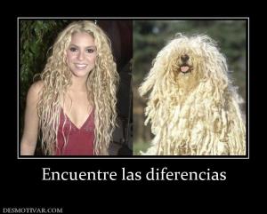 Encuentre las diferencias