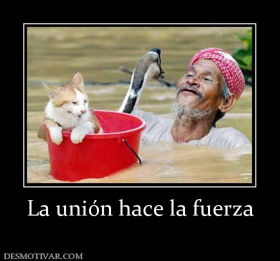 La unión hace la fuerza