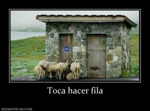 Toca hacer fila