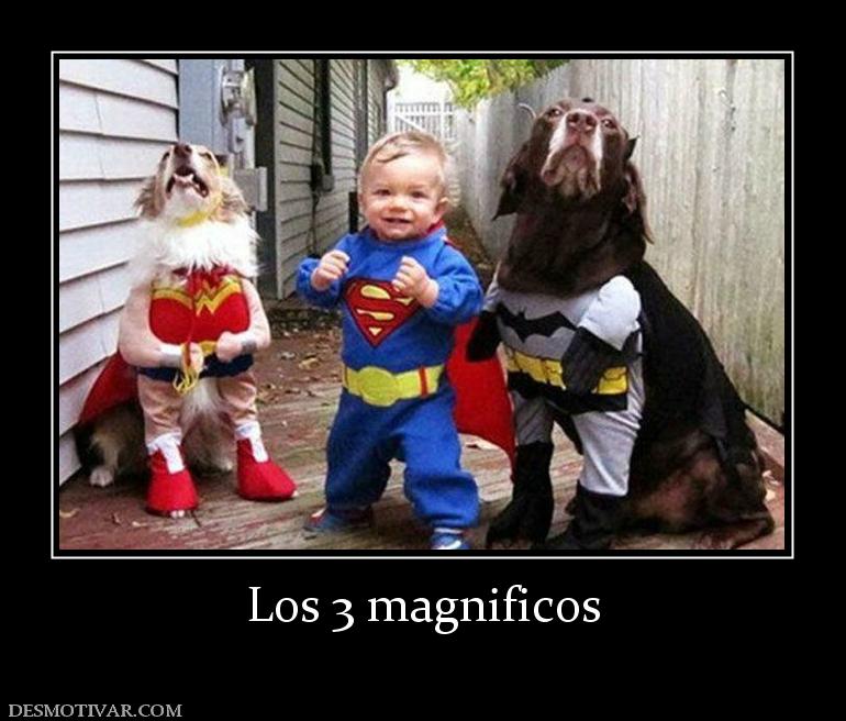 Los 3 magnificos