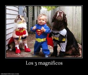 Los 3 magnificos