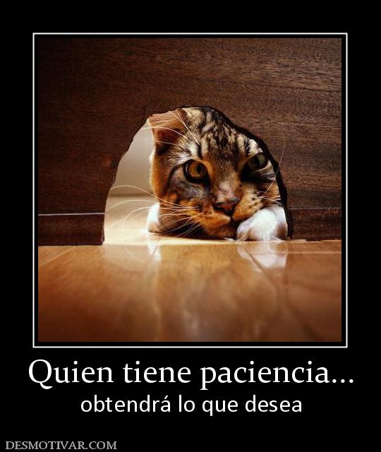 Quien tiene paciencia... obtendrá lo que desea