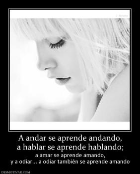A andar se aprende andando, a hablar se aprende hablando;  a amar se aprende amando, y a odiar... a odiar también se aprende amando