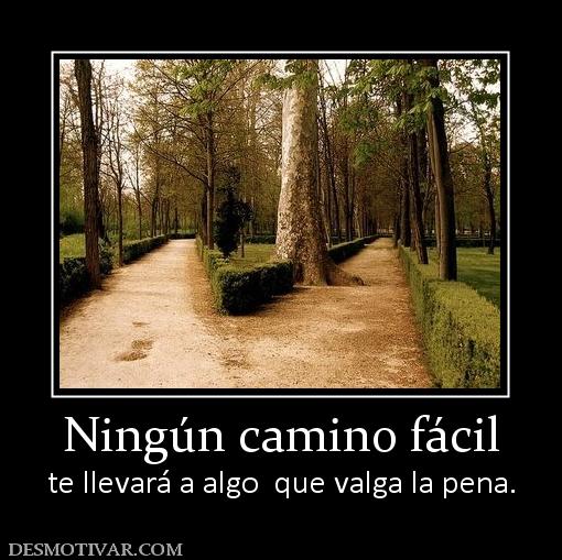 Ningún camino fácil te llevará a algo  que valga la pena.