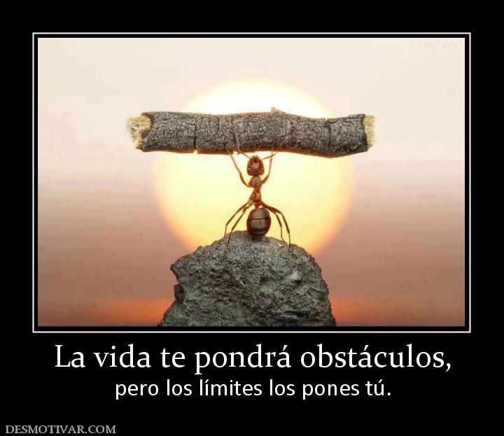 La vida te pondrá obstáculos, pero los límites los pones tú.