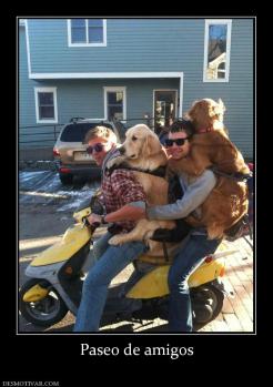 Paseo de amigos