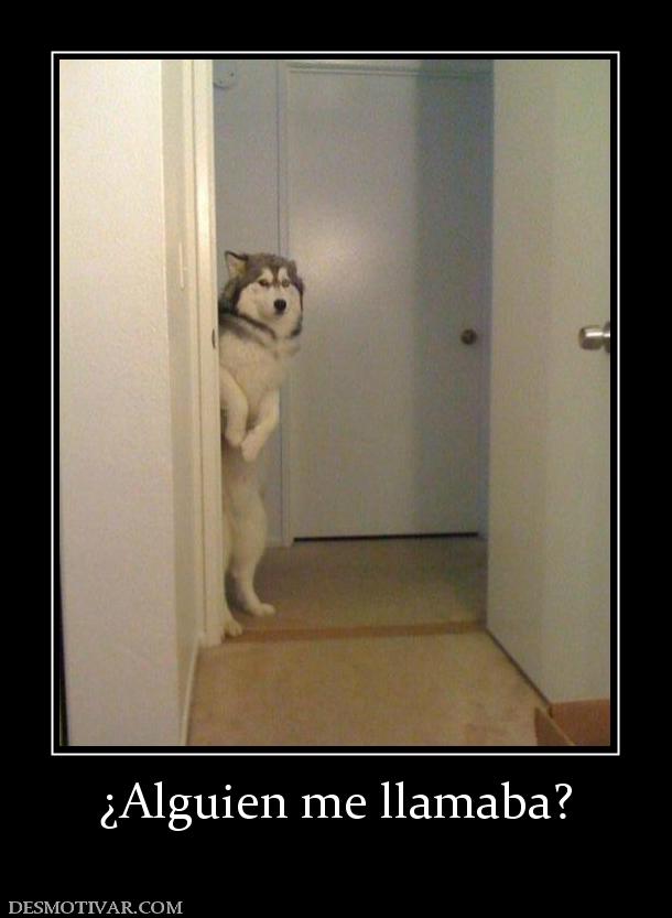 ¿Alguien me llamaba?