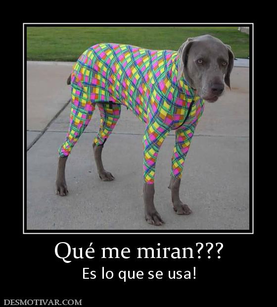 Qué me miran??? Es lo que se usa!