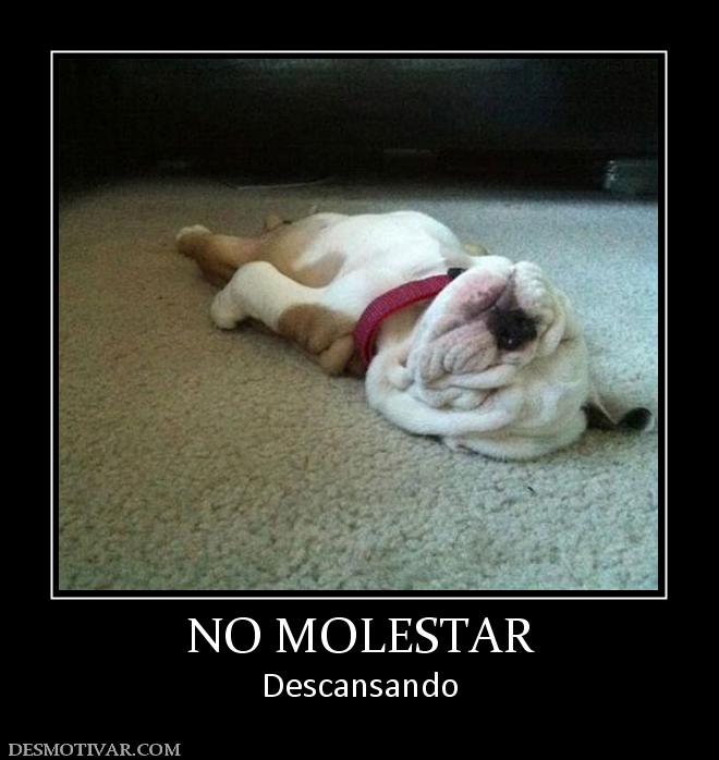 NO MOLESTAR Descansando
