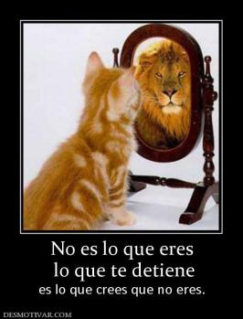 No es lo que eres  lo que te detiene es lo que crees que no eres.