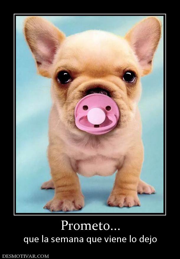 Prometo... que la semana que viene lo dejo