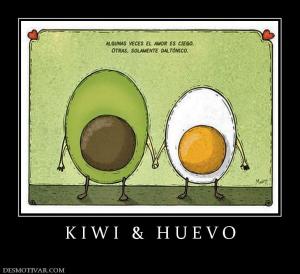 K I W I   &   H U E V O