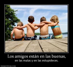 Los amigos están en las buenas, en las malas y en las estupideces.