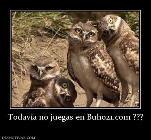 Todavía no juegas en Buho21.com ???