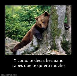 Y como te decia hermano sabes que te quiero mucho
