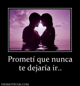 Prometí que nunca te dejaría ir..