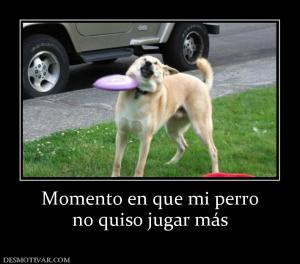 Momento en que mi perro no quiso jugar más