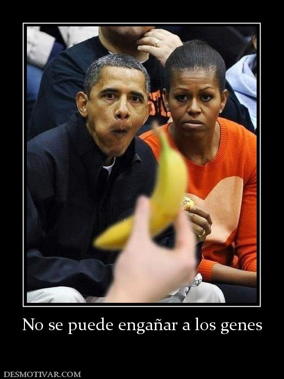 No se puede engañar a los genes