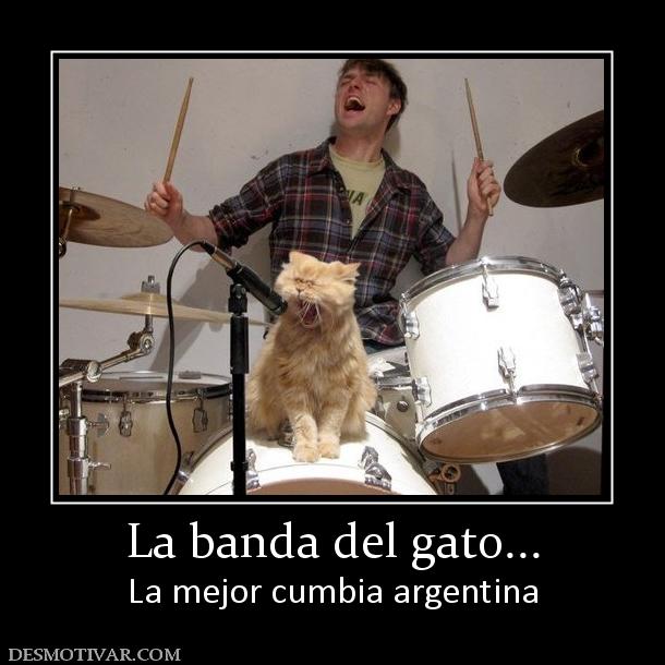 La banda del gato... La mejor cumbia argentina
