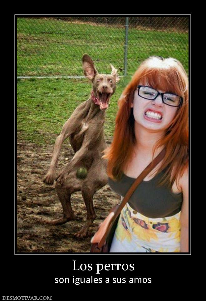 Los perros son iguales a sus amos