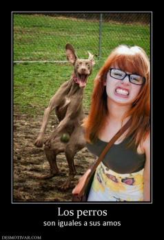 Los perros son iguales a sus amos