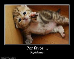 Por favor ... ¡Ayúdame!