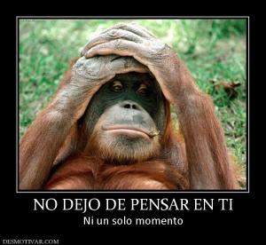 NO DEJO DE PENSAR EN TI Ni un solo momento