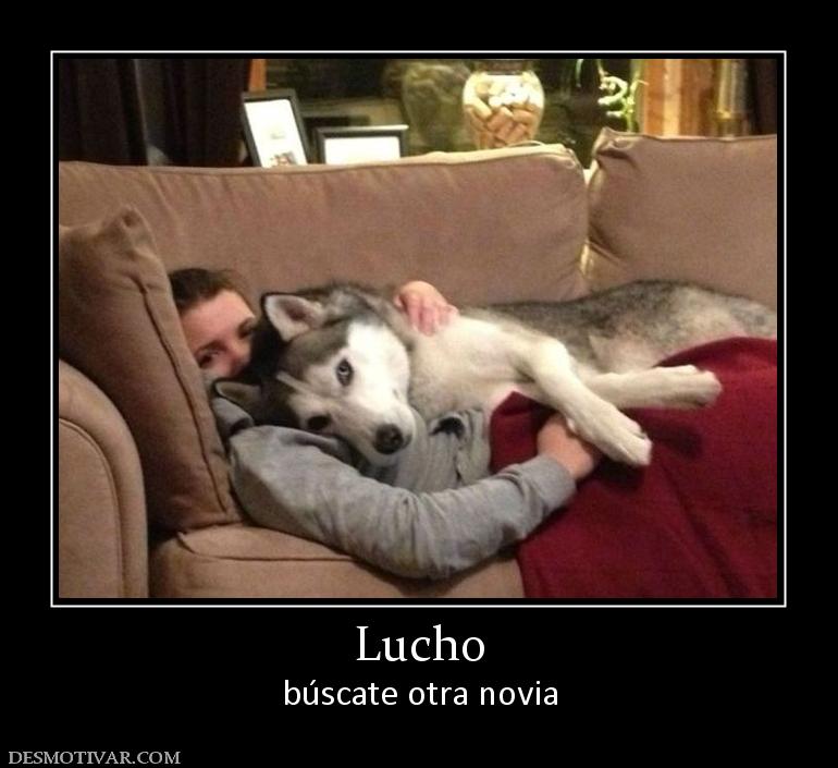 Lucho búscate otra novia