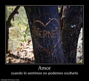 Amor cuando lo sentimos no podemos ocultarlo
