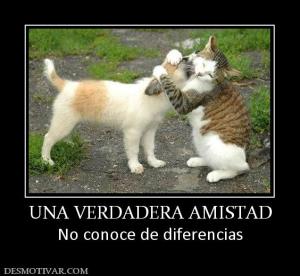UNA VERDADERA AMISTAD No conoce de diferencias