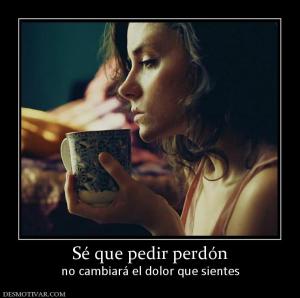 Sé que pedir perdón no cambiará el dolor que sientes