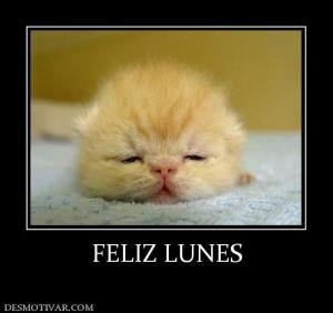 FELIZ LUNES
