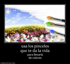 usa los pinceles que te da la vida para llenarla de colores