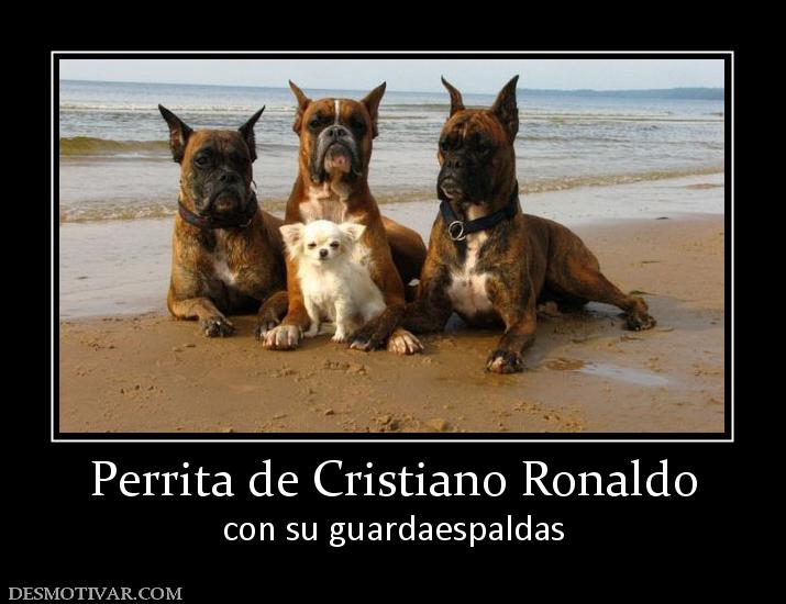 Perrita de Cristiano Ronaldo con su guardaespaldas