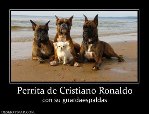 Perrita de Cristiano Ronaldo con su guardaespaldas