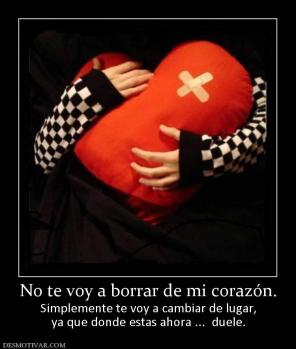 No te voy a borrar de mi corazón. Simplemente te voy a cambiar de lugar, ya que donde estas ahora ...  duele.