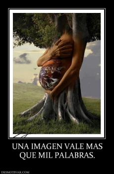 UNA IMAGEN VALE MAS QUE MIL PALABRAS.