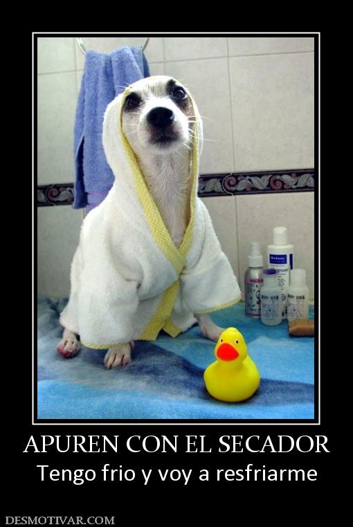 APUREN CON EL SECADOR Tengo frio y voy a resfriarme