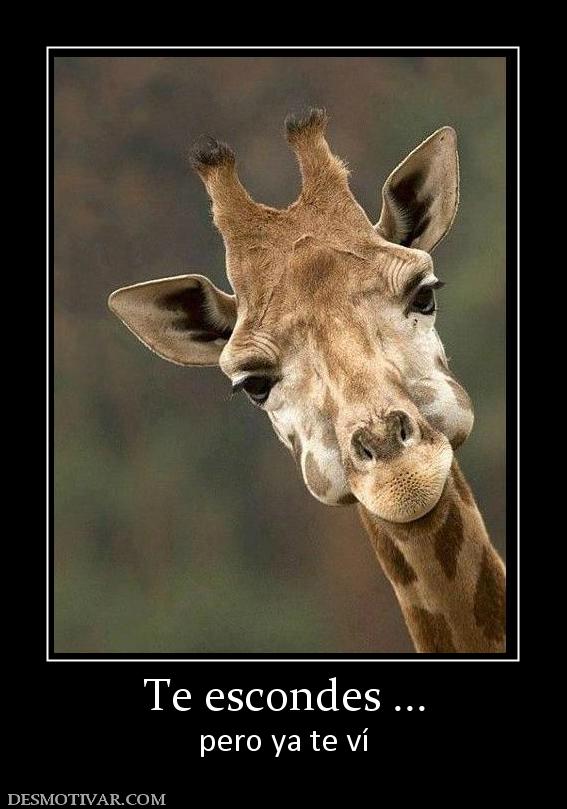 Te escondes ... pero ya te ví