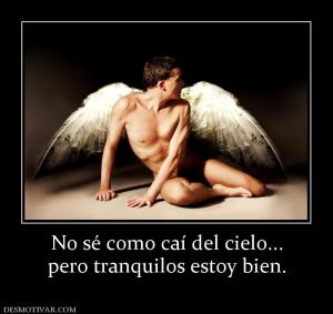 No sé como caí del cielo... pero tranquilos estoy bien.