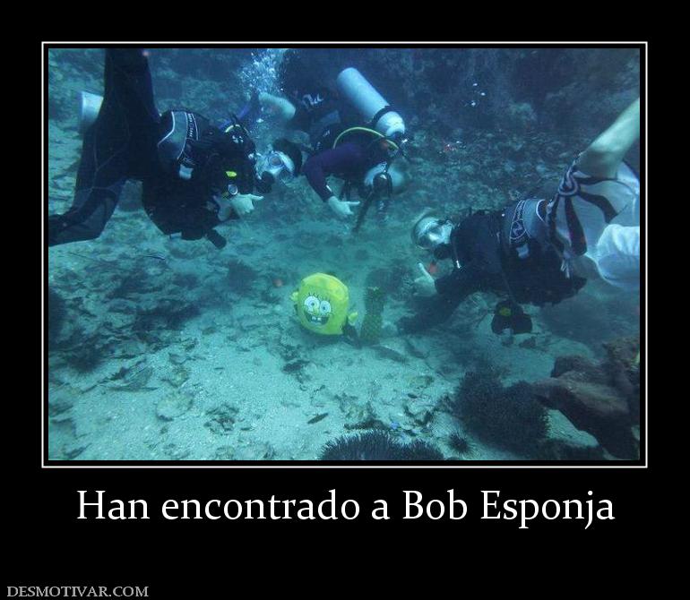 Han encontrado a Bob Esponja