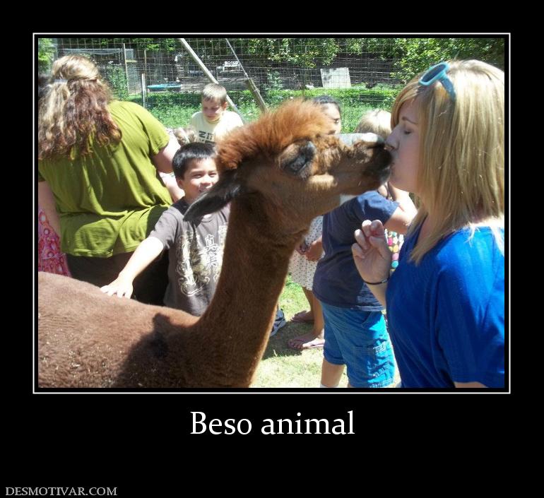 Beso animal