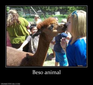 Beso animal